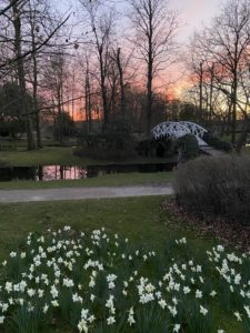 Stadspark Lier - https://zagerijstraat51.be/